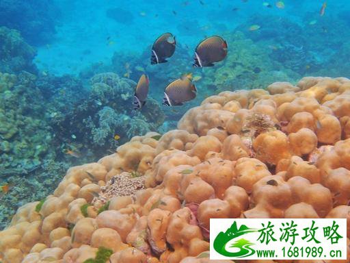 去泰国旅游要多少钱 泰国旅游注意事项 去泰国旅游要多少钱 泰国旅游注意事项