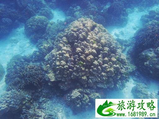 去泰国旅游要多少钱 泰国旅游注意事项 去泰国旅游要多少钱 泰国旅游注意事项