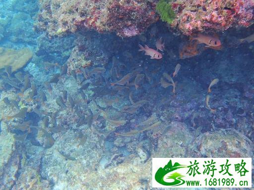 去泰国旅游要多少钱 泰国旅游注意事项 去泰国旅游要多少钱 泰国旅游注意事项