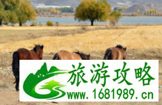 可可托海怎么样 新疆可可托海旅游 可可托海怎么样 新疆可可托海旅游