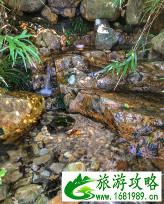 香港凤凰径哪段最美 香港凤凰径最佳徒步线路图 香港凤凰径哪段最美 香港凤凰径最佳徒步线路图