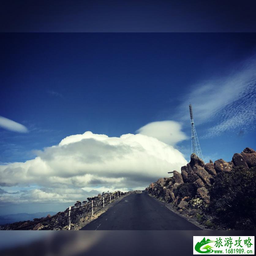 塔斯马尼亚州自由行攻略 塔斯马尼亚州有什么好玩的 塔斯马尼亚州自由行攻略 塔斯马尼亚州有什么好玩的