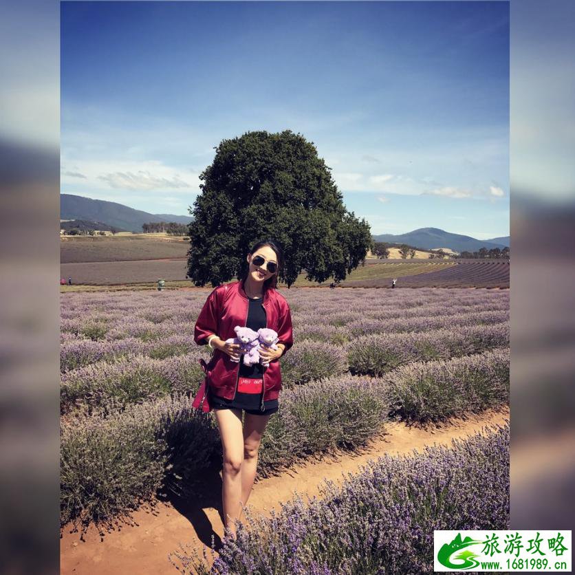 塔斯马尼亚州自由行攻略 塔斯马尼亚州有什么好玩的 塔斯马尼亚州自由行攻略 塔斯马尼亚州有什么好玩的
