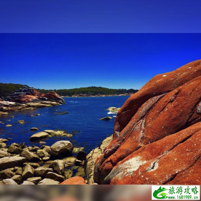 塔斯马尼亚州自由行攻略 塔斯马尼亚州有什么好玩的 塔斯马尼亚州自由行攻略 塔斯马尼亚州有什么好玩的