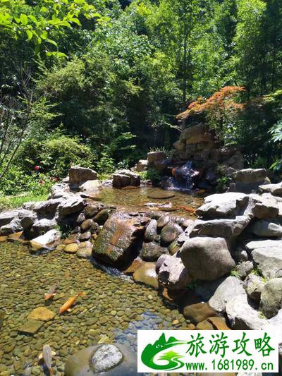 千岛湖有哪些景点 无锡到千岛湖旅游怎么计划 千岛湖有哪些景点 无锡到千岛湖旅游怎么计划