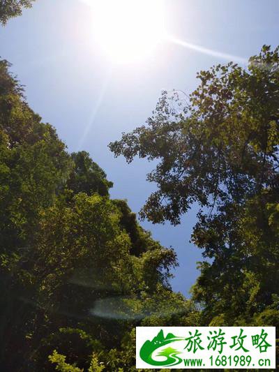 千岛湖有哪些景点 无锡到千岛湖旅游怎么计划 千岛湖有哪些景点 无锡到千岛湖旅游怎么计划