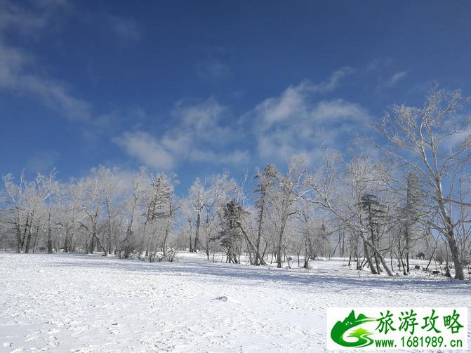 哈尔滨有什么玩的地方 哈尔滨 哈尔滨需要玩几天 哈尔滨有什么玩的地方 哈尔滨 哈尔滨需要玩几天