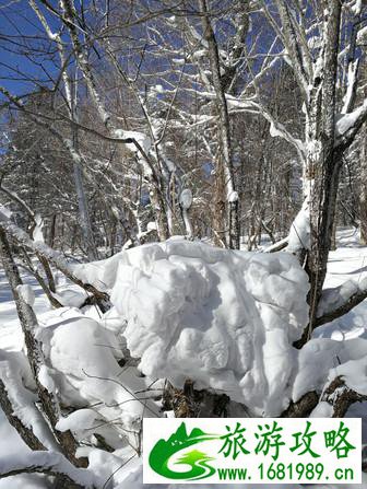 哈尔滨有什么玩的地方 哈尔滨 哈尔滨需要玩几天 哈尔滨有什么玩的地方 哈尔滨 哈尔滨需要玩几天
