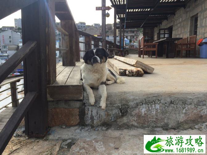 东极岛有什么好玩的 东极岛有沙滩吗 东极岛有什么好玩的 东极岛有沙滩吗