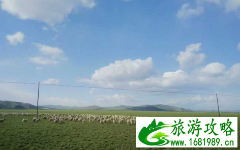 呼伦贝尔大草原在哪里 到呼伦贝尔大草原旅游要注意什么 呼伦贝尔大草原在哪里 到呼伦贝尔大草原旅游要注意什么