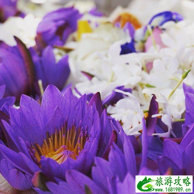 斯里兰卡有哪些景点 斯里兰卡旅游多少钱 斯里兰卡有哪些景点 斯里兰卡旅游多少钱