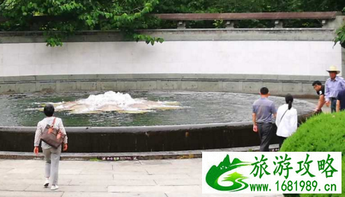 新昌大佛寺怎样 好玩吗 新昌大佛寺门票是多少钱 新昌大佛寺怎样 好玩吗 新昌大佛寺门票是多少钱