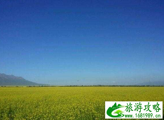 2017高考后旅游去哪里 高考后旅游推荐 2017高考后旅游去哪里 高考后旅游推荐