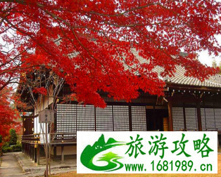 日本旅游自由行必去的景点有哪些 日本旅游自由行必去的景点有哪些