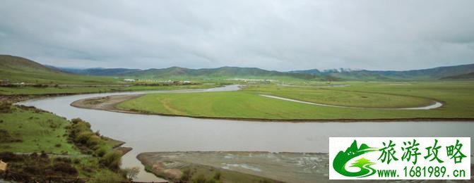 四川红原大草原自由行攻略 红原大草原花期是什么时候 四川红原大草原自由行攻略 红原大草原花期是什么时候