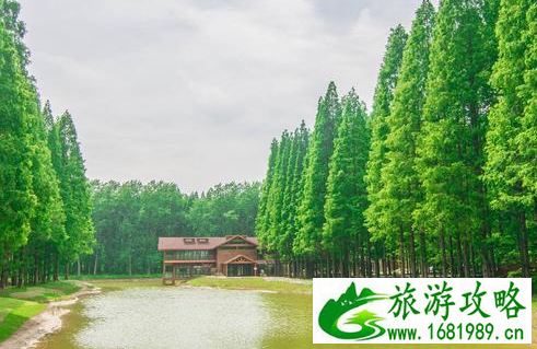盐城东台有什么好玩的 盐城东台必去的景点有哪些