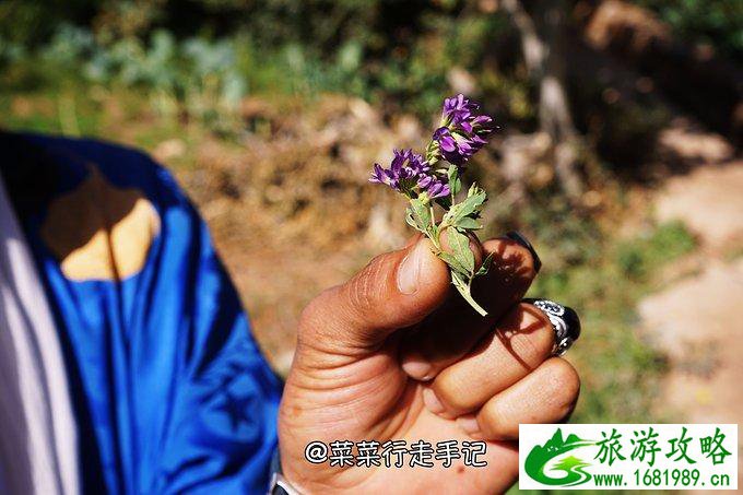 摩洛哥景点有哪些 摩洛哥好玩吗