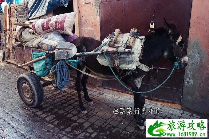 摩洛哥景点有哪些 摩洛哥好玩吗