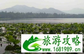 杭州到乌镇怎么坐车 乌镇-浙江旅游攻略 杭州到乌镇怎么坐车 乌镇-浙江旅游攻略