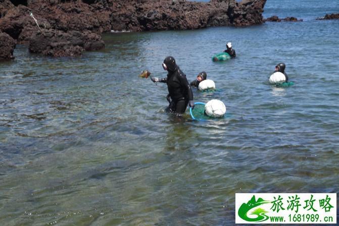 济州岛有什么好玩的 济州岛亲子五日游 济州岛有什么好玩的 济州岛亲子五日游