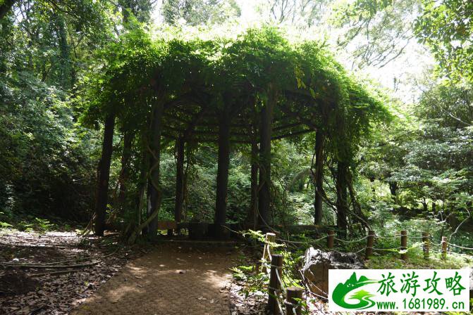 济州岛有什么好玩的 济州岛亲子五日游 济州岛有什么好玩的 济州岛亲子五日游