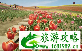 江布拉克旅游 江布拉克距离乌鲁木齐有多远  新疆的江布拉克在哪儿