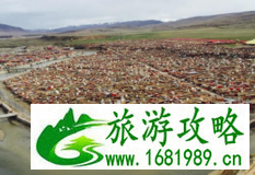 亚青寺怎么样  去亚青寺怎么走