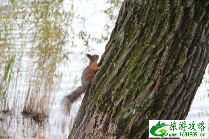 俄罗斯自由行攻略 好玩吗 俄罗斯自由行攻略 好玩吗