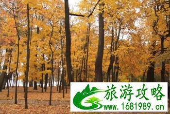 俄罗斯自由行攻略 好玩吗 俄罗斯自由行攻略 好玩吗