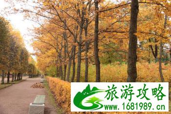 俄罗斯自由行攻略 好玩吗 俄罗斯自由行攻略 好玩吗