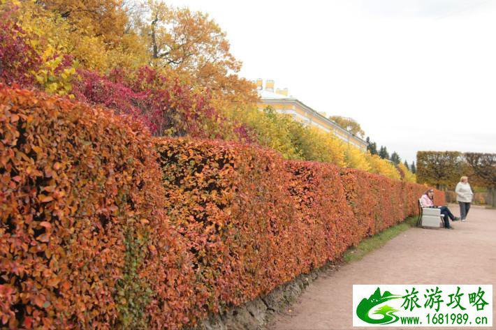 俄罗斯自由行攻略 好玩吗 俄罗斯自由行攻略 好玩吗