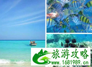 泰国普吉岛有什么好玩的地方 泰国普吉岛有什么好玩的地方