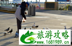 荷兰为什么被称为花之国 荷兰为什么被称为风车之国 荷兰为什么被称为花之国 荷兰为什么被称为风车之国