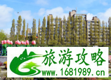 荷兰为什么被称为花之国 荷兰为什么被称为风车之国 荷兰为什么被称为花之国 荷兰为什么被称为风车之国