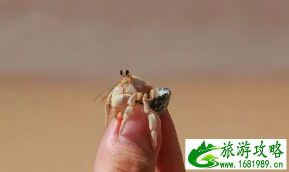 泰国自助游旅游攻略 泰国自助游旅游攻略