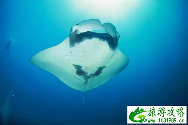 泰国自助游旅游攻略 泰国自助游旅游攻略