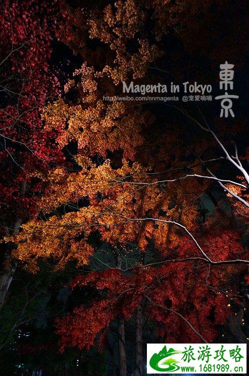去日本旅游要带什么 日本有什么值得买的 去日本旅游要带什么 日本有什么值得买的