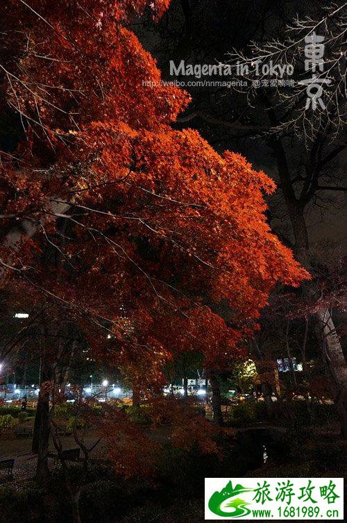 去日本旅游要带什么 日本有什么值得买的 去日本旅游要带什么 日本有什么值得买的