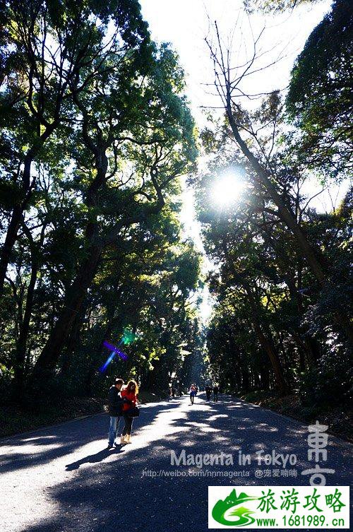 去日本旅游要带什么 日本有什么值得买的 去日本旅游要带什么 日本有什么值得买的