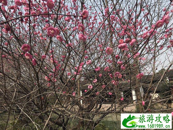 杭州有哪些旅游景点