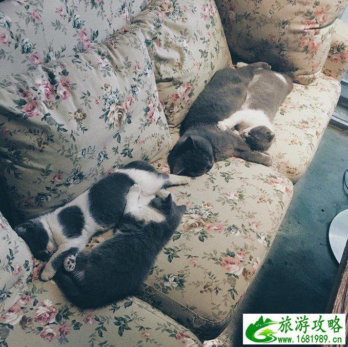 大连有什么好玩的 大连有哪些旅游景点 大连有什么好玩的 大连有哪些旅游景点