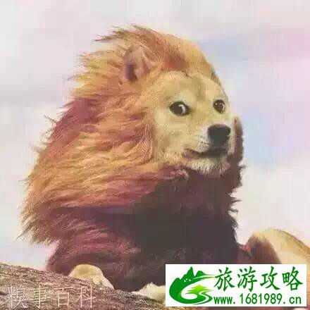 大连有什么好玩的 大连有哪些旅游景点 大连有什么好玩的 大连有哪些旅游景点