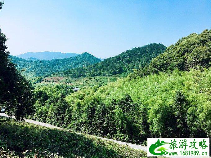 莫干山有什么好玩的 莫干山有哪些旅游景点