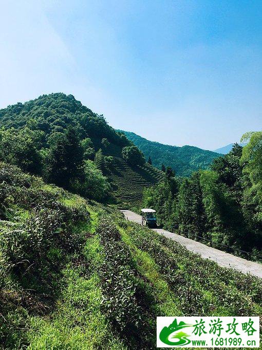 莫干山有什么好玩的 莫干山有哪些旅游景点
