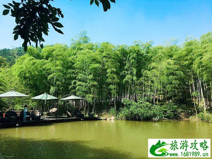 莫干山有什么好玩的 莫干山有哪些旅游景点