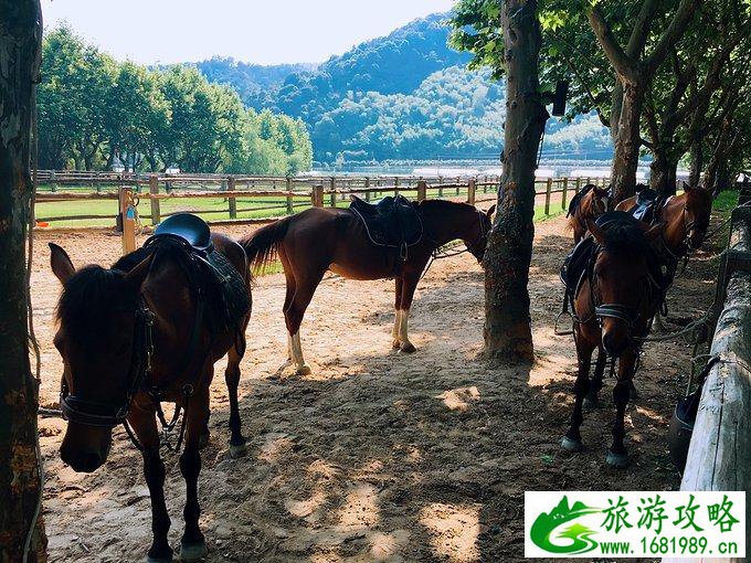 莫干山有什么好玩的 莫干山有哪些旅游景点