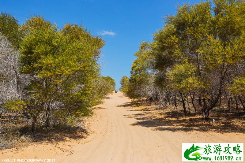 越南有什么好玩的 去越南旅游要多少钱 越南有什么好玩的 去越南旅游要多少钱