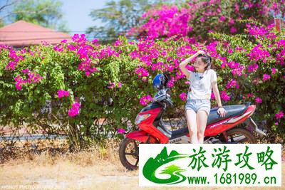 越南有什么好玩的 去越南旅游要多少钱 越南有什么好玩的 去越南旅游要多少钱