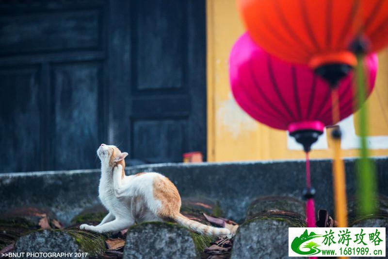 越南有什么好玩的 去越南旅游要多少钱 越南有什么好玩的 去越南旅游要多少钱