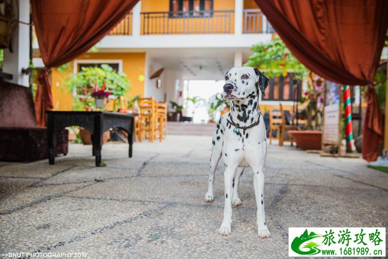 越南有什么好玩的 去越南旅游要多少钱 越南有什么好玩的 去越南旅游要多少钱